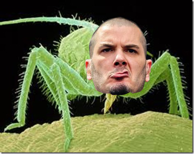 Aphid Anselmo